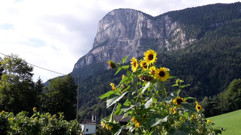 Tinnerhof 阿皮亚诺苏拉斯特拉达 外观 照片